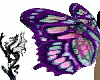 Mother of Pearl Wings