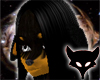 Rottweiler Bundle[F]