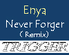 ENYA_Never_Forget_(RMX)