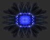 daisy4