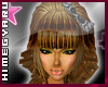 [V4NY] Himegyaru DLight
