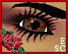 Butter Toffee Brown eyes