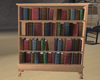 Birch Book Case