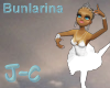 Ballet Dress/Music/Moves