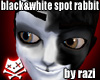 Product Image for B&W Spot Rabbit (M)