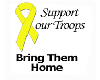 Yellow Ribbon