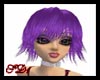 SD Agyness Shiney Liliac