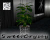 Diamond Plant I