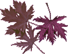 sticker_2487428_4350145