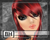 [BH]SpicyHikaru