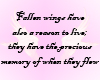 [PinkBlack]Fallen Wings