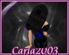 *C2003* BS Aisha Tail