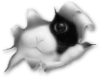 sticker_791853_43873711