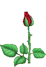 sticker_24691017_37842020