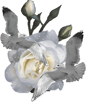 sticker_10688508_18289901