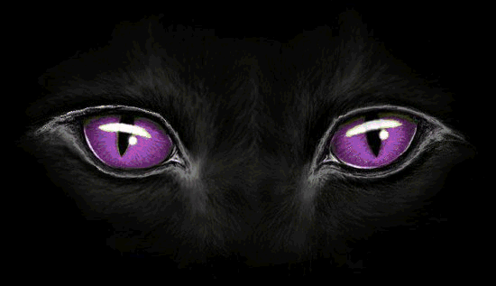 sticker_566846_40477623