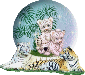 sticker_11107777_14558206
