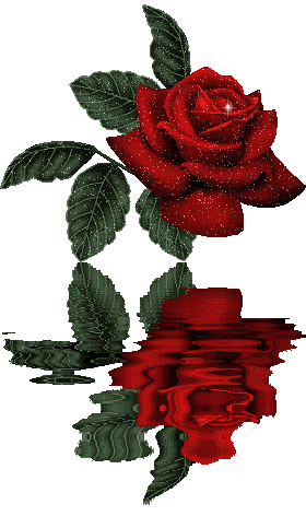 sticker_19030777_35522219