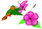 sticker_22961994_37195789