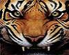sticker_23285426_37386966