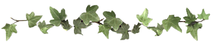 sticker_12480229_39372211