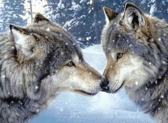 sticker_16511018_25377235