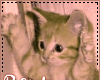 sticker_16944802_40604240