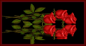 sticker_6263562_29158436