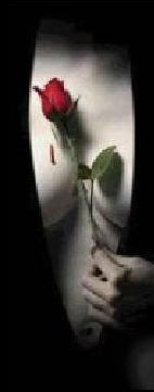 sticker_26078826_37523514