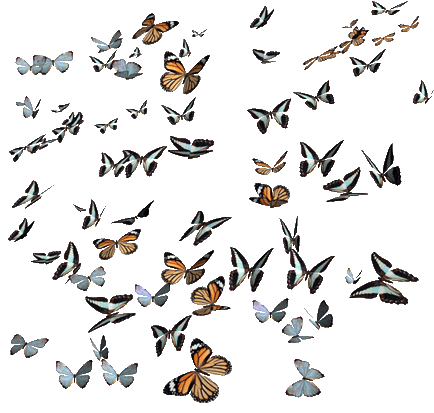 sticker_11359803_32225349
