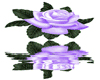 sticker_17453364_25890530