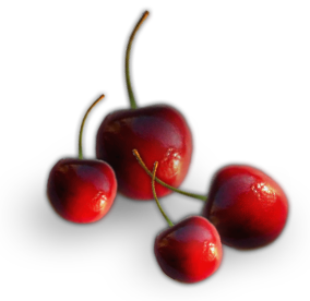 sticker_17453364_25102866