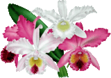 sticker_25433108_39528067