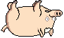 sticker_7679162_38997029