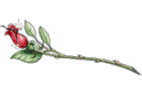 sticker_24247381_40766259