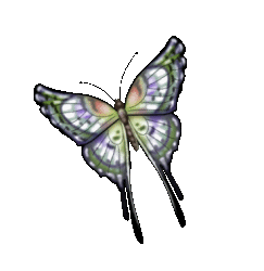 sticker_18830409_32703864