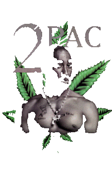 sticker_17556106_24667339