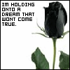sticker_5148777_11956366