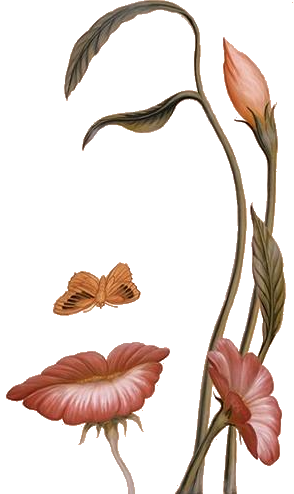 sticker_19312277_34654287