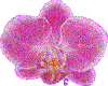 sticker_12111029_18804388