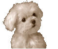 sticker_3819111_41262473