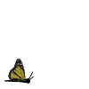 sticker_23663428_40697363
