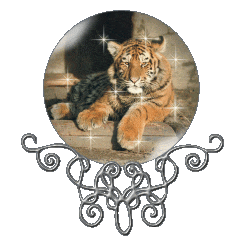sticker_18066579_25425478
