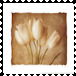sticker_24541854_37149236