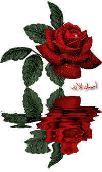 sticker_24036467_35399195