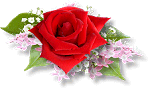 sticker_26316149_40982613