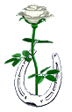 sticker_752172_37125099