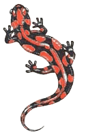 sticker_3577708_5477007
