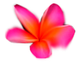sticker_6150995_36944522