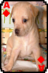 sticker_12602213_30809063